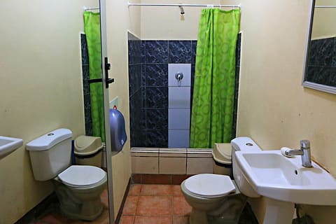 Ensuite bathroom with two toilets and sinks behind green shower curtains, dark blue tiles.