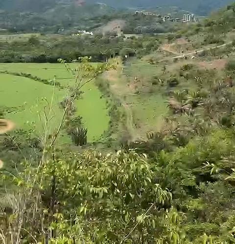 Green hills and pastures inland from Jacó, with a dirt path climbing through the bush.