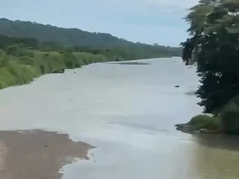 The Tárcoles River seen from above, a sandbank on the left and trees on the right bank.