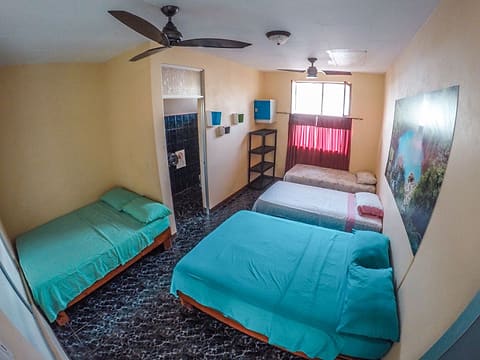Large private room with turquoise and white beds, two ceiling fans, a window with red curtains and the ensuite bathroom door.