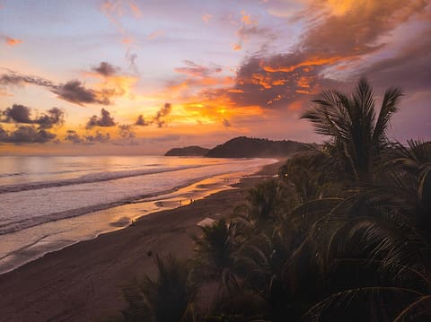 Atardecer sobre la bahía de Jacó visto desde un cerro boscoso, con palmeras adelante.